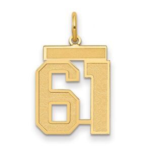 14k Yellow Gold, Jersey Collection, Medium Number 61 Pendant